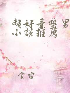 超好看双男主的小说推荐