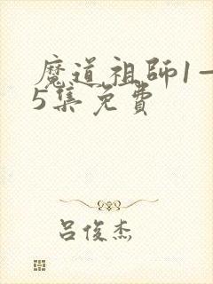 魔道祖师1—35集免费
