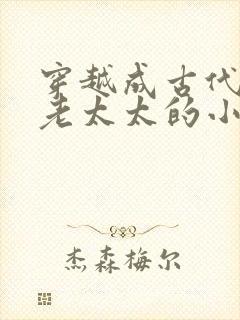 穿越成古代农家老太太的小说