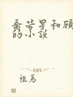 乔若星和顾景琰的小说