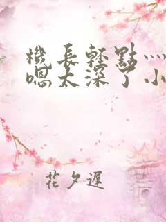 机长轻点灬太粗嗯太深了小说