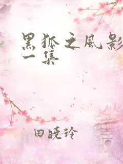 黑狐之风影最后一集