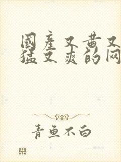 国产又黄又粗又猛又爽的网站