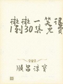 微微一笑很倾城1到30集免费