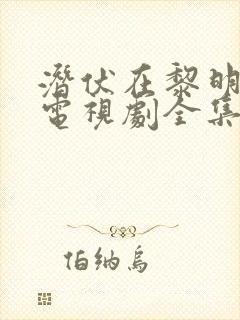 潜伏在黎明之前电视剧全集40