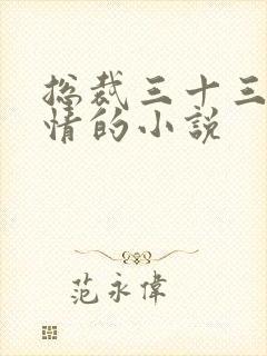 总裁三十三日索情的小说