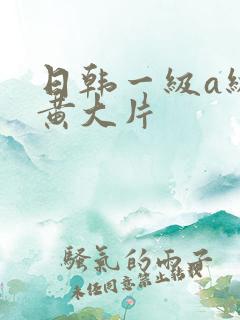 日韩一级a级特黄大片