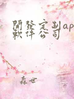 开发定制app软件公司