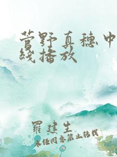 菅野真穗中文在线播放