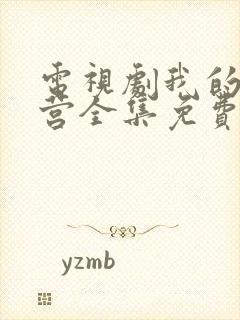 电视剧我的特一营全集免费观看