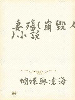 妻殇(崩毁人生)小说