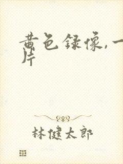 黄色录像,一级片