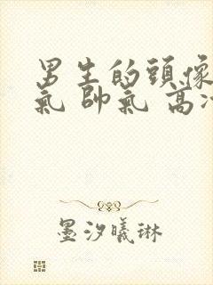 男生的头像 霸气 帅气 高冷真人