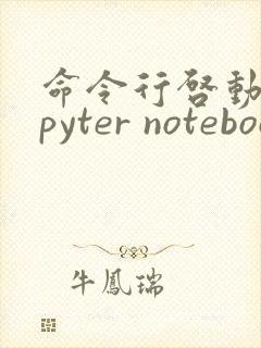 命令行启动jupyter notebook