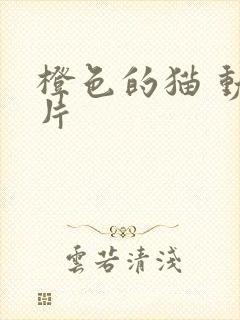 橙色的猫 动画片