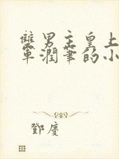 双男主皇上用将军润笔的小说