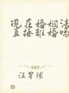 现在婚姻法可以直接离婚吗