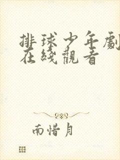 排球少年剧场版在线观看