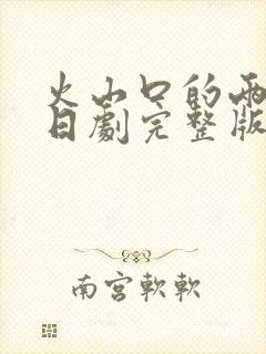 火山口的两个人日剧完整版