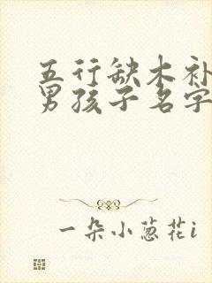 五行缺木补金的男孩子名字