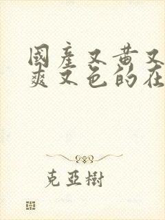 国产又黄又硬又爽又色的在线视频