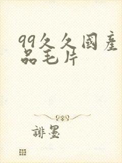 99久久国产精品毛片