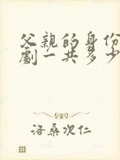 父亲的身份电视剧一共多少集