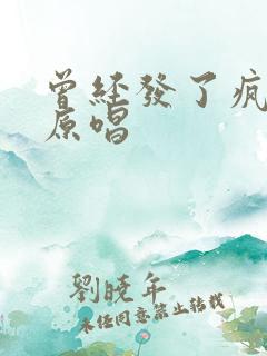 曾经发了疯的想原唱