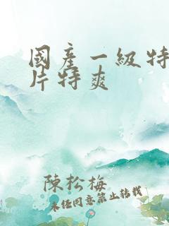 国产一级特黄大片特爽