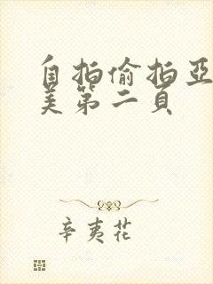 自拍偷拍亚洲欧美第二页