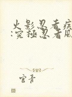 火影忍者疾风传:究极忍者风暴4