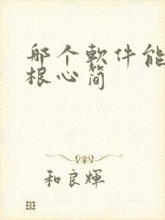 哪个软件能看七根心简