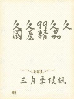 久久99久久久国产精品