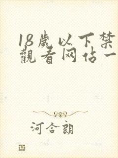 18岁以下禁止观看网站一二区