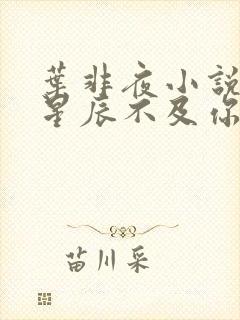 叶非夜小说亿万星辰不及你