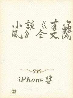 小说《有你的晚风》全文阅读