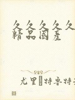 久久久久久99精品国产