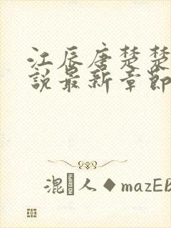 江辰唐楚楚的小说最新章节免费