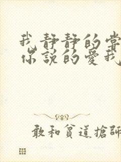 我静静的尝一口你说的爱我歌词