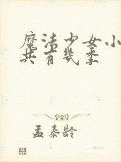 魔法少女小圆一共有几季