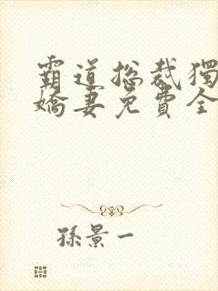 霸道总裁独宠小娇妻免费全集