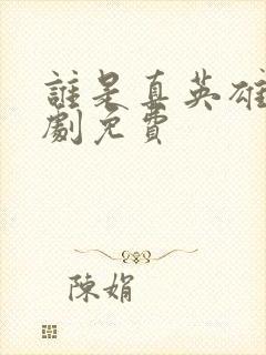 谁是真英雄电视剧免费