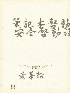 笔记本启动黑屏 安全启动没事