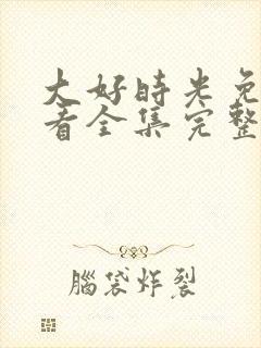 大好时光免费观看全集完整版