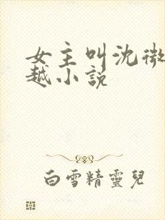 女主叫沈微的穿越小说