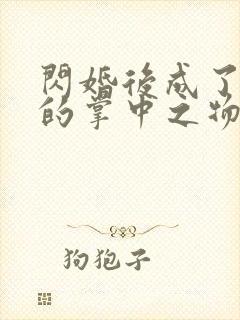 闪婚后成了大佬的掌中之物短剧免费观看