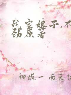 我家娘子,不对劲原著