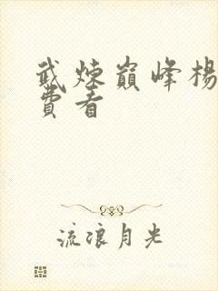 武炼巅峰杨开免费看