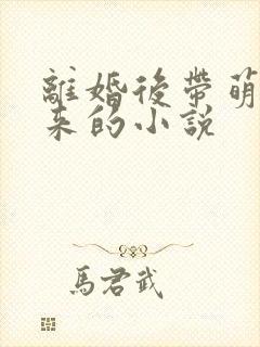 离婚后带萌宝归来的小说