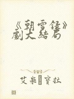 《朝雪录》电视剧大结局